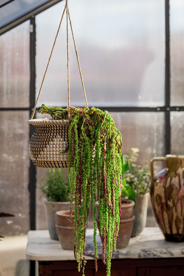Maceteros Colgantes con mucho encanto y estilo | OFELIA Home & Decor